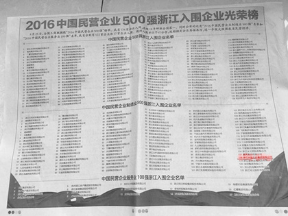 Das Konzernunternehmen belegte im Jahr 2016 den 485. Platz in der Liste der 500 größten Privatunternehmen Chinas in der Fertigungsindustrie